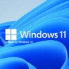 Cách Hạ Windows 11 Xuống Windows 10 Không Mất Dữ Liệu Và Đơn Giản Nhất