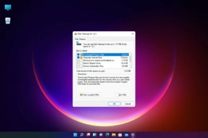 Có Thể Xóa Những Gì Trong Windows Disk Cleanup?
