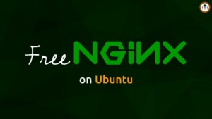 Freenginx Là Gì? Nhánh Của Web Server Phổ Biến Hiện Nay