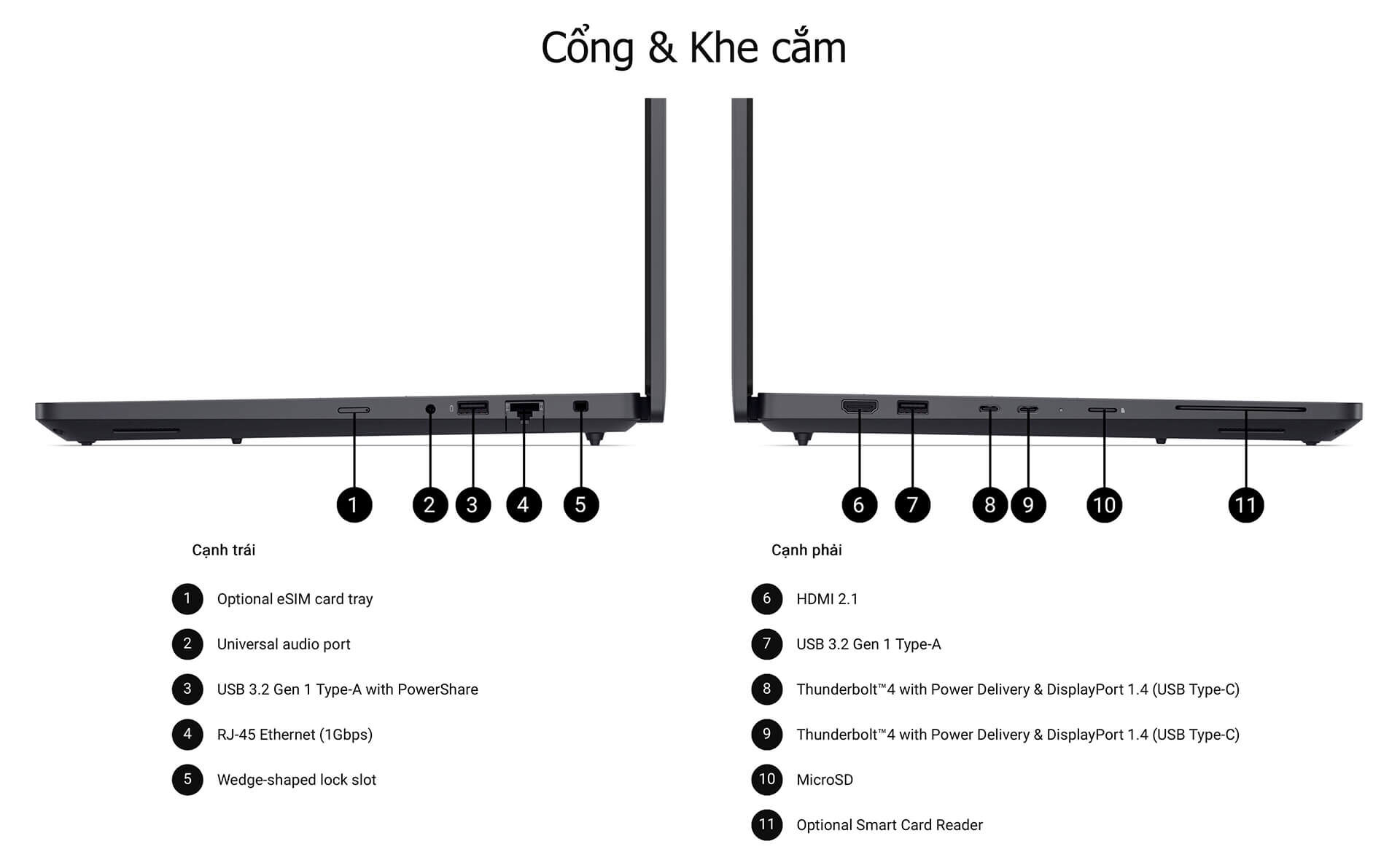 Dell Pro Max 16 Mc16250 Trai Nghiem Sau 1 Nam 06 Khả Năng Nâng Cấp: Lý Do Quan Trọng Nhất Để Chọn Dell Pro Max 16 Mc16250