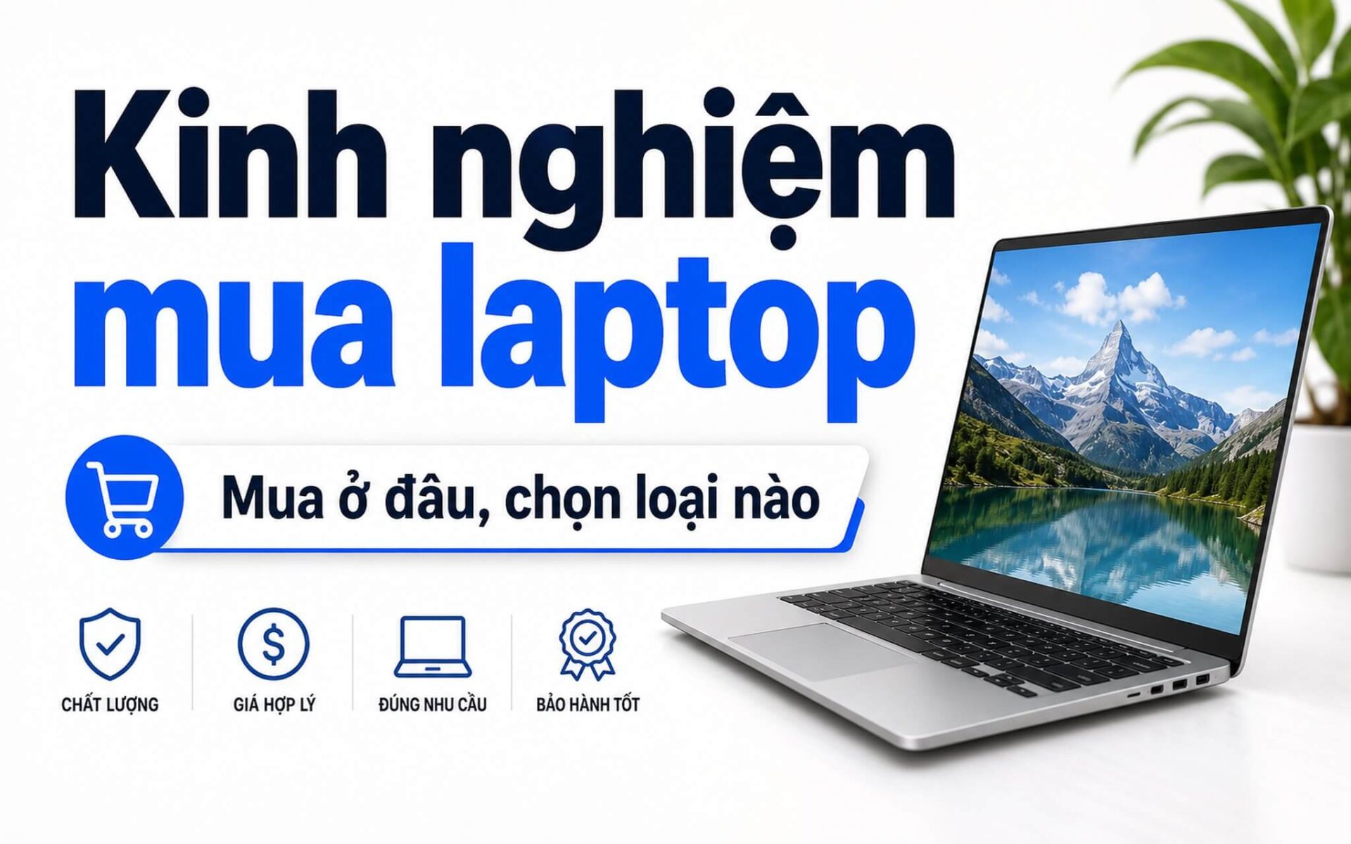 Kinh Nghiệm Mua Laptop Ở Tp.hcm Chọn Đúng Nơi Đúng Loại