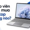 Laptop Cho Giáo Viên Nên Mua Hãng Nào, Từ Mầm Non Đến Giảng Viên