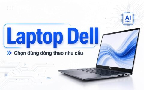 Mua Laptop Dell Ở Tp.hcm: Chọn Dòng Inspiron, Latitude, Xps Hay Precision?