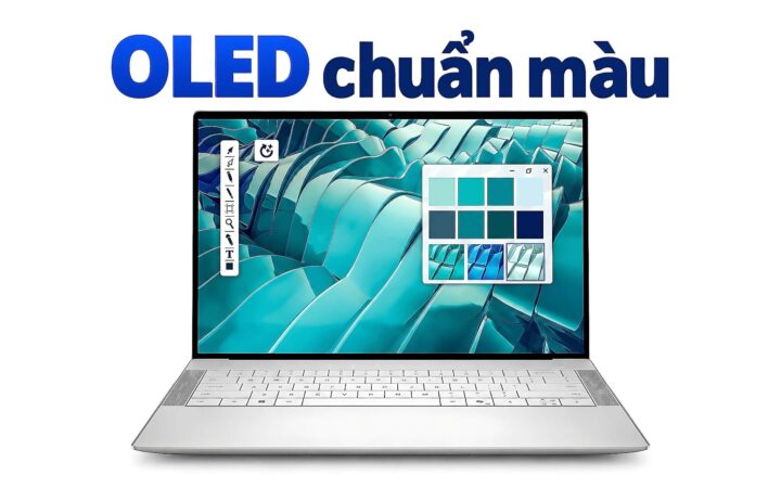 Laptop Màn Đẹp Cho Dân Thiết Kế – Chọn Máy Oled Chuẩn Màu 2026