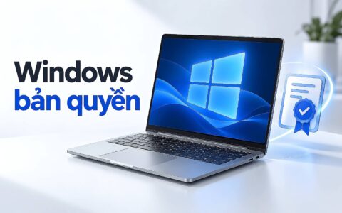 Windows Bản Quyền Và Rủi Ro Kích Hoạt – Phân Biệt Oem Retail Volume